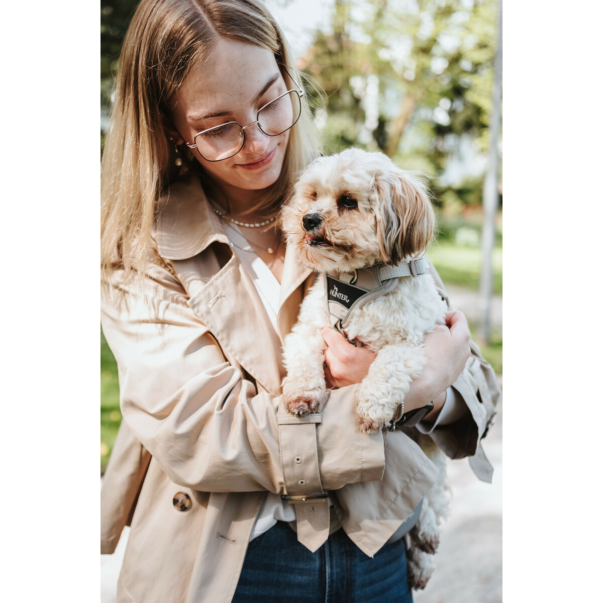Hundesele Hunter DIVO UP Beige XS